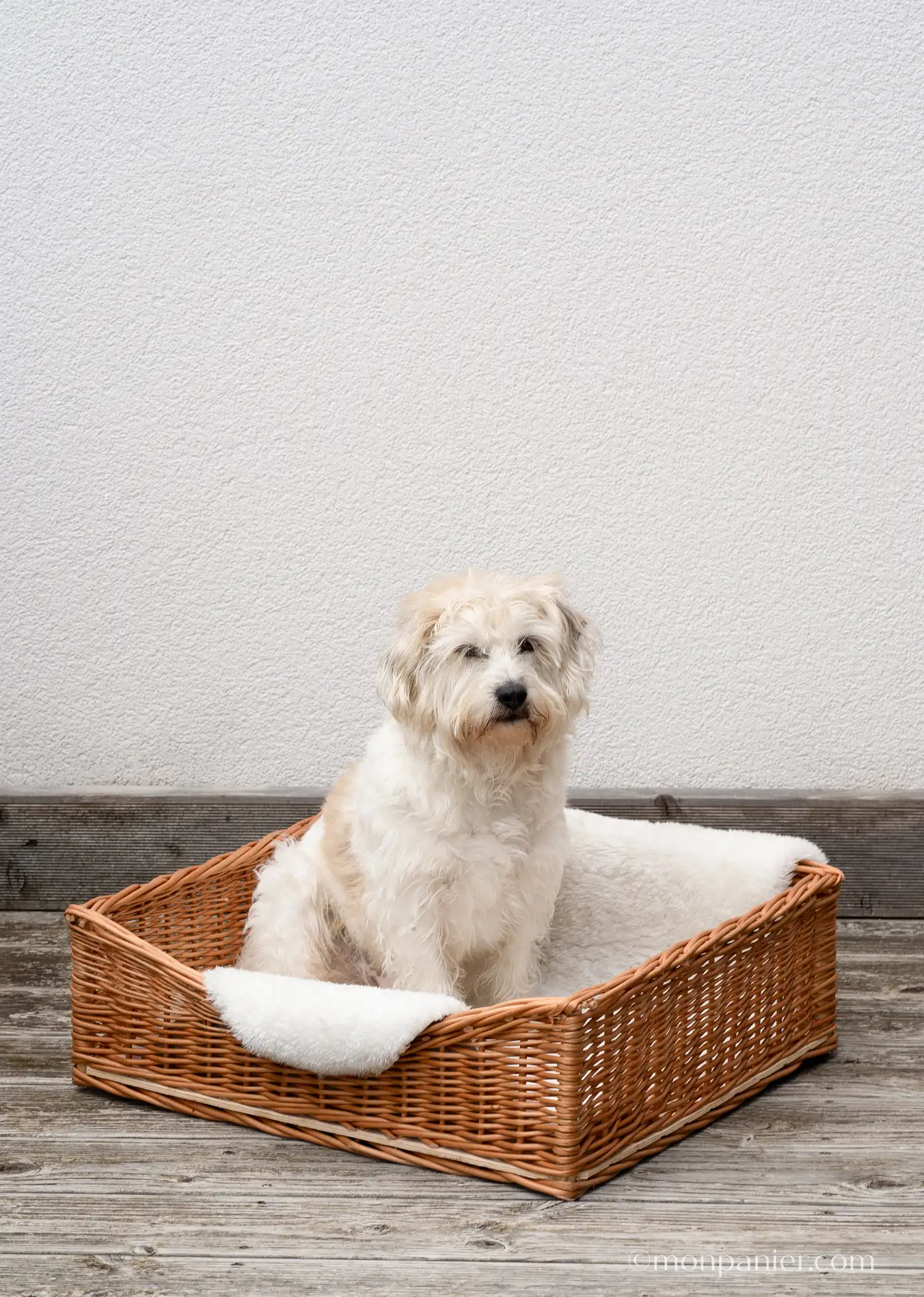 monpanier.com-Hundekorb_dog basket__BENNIE 5