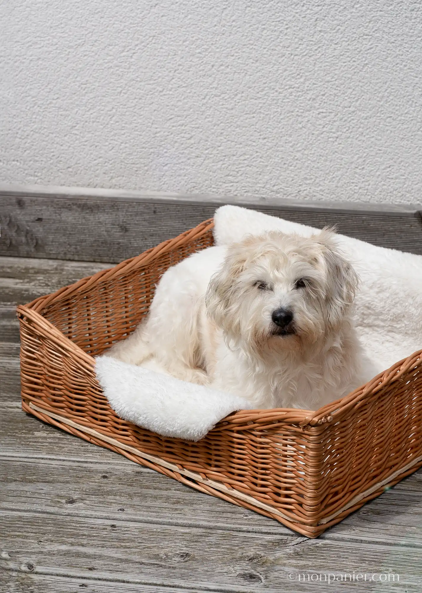 monpanier.com-Hundekorb_dog basket__BENNIE 6