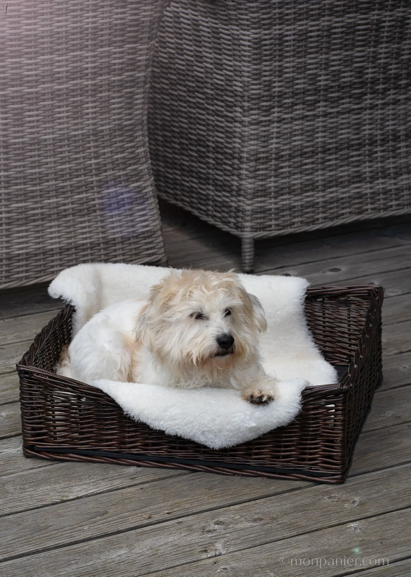 monpanier.com-Hundekorb_dog basket__BENNIE braun__5