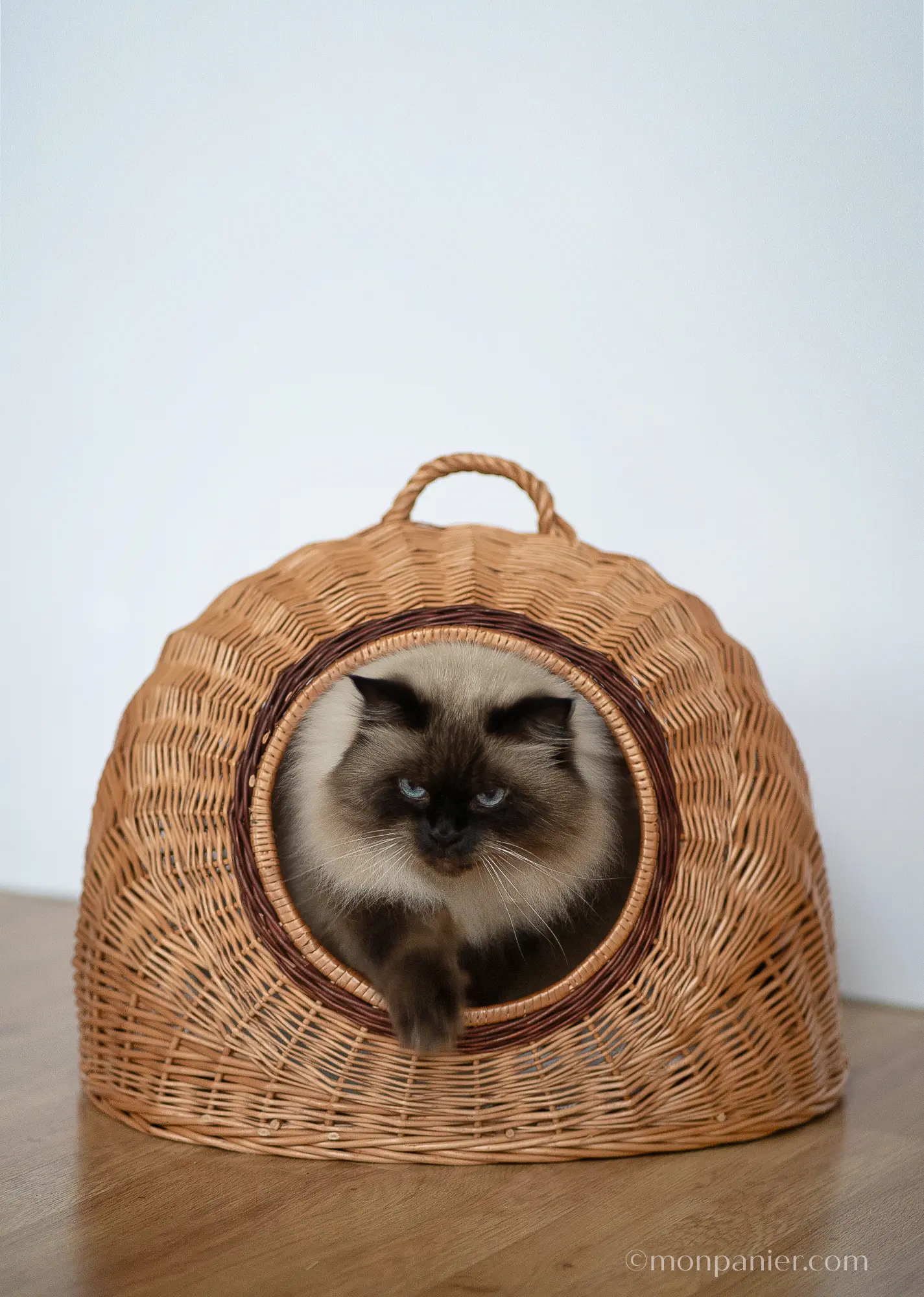 monpanier.com_cat basket_Katzenkorb_GROTTE 5